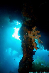 Wreck of the U.S.A.T Liberty at Tulamben, Bali. by Anouk Houben 